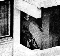 Terrorista de Septiembre Negro